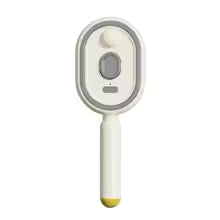 Selfag-Brosse à vapeur électrique coiffante et lissante.